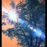 infrared landscape 7