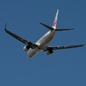 飛行 JAL 737-800