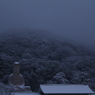 雪観音