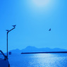 The Memory of Blue