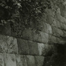 snapshot.4