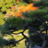 明と暗