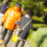冬の散歩道