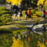 水鏡-2