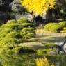 水鏡-3