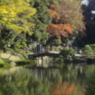 水鏡-4