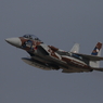 アグレッサー②