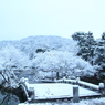 雪の公園