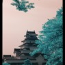 infrared landscape 13