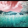infrared landscape 14