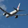 JAL 787-8 飛行