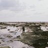 「海に生きる」