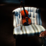 Fiori e Violino