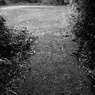 DSC01576