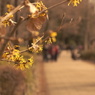 DSC01787