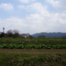 DSC01294