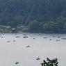 DSC00205