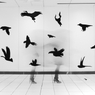 birds〓code