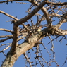 20150116-015