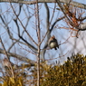 20150205-043