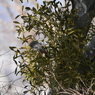 20150205-018
