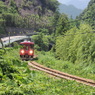 t130624-009t