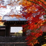 紅い勅使門