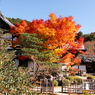 彩の圓光寺