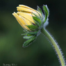 DSC00070