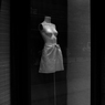 DSC09391b