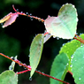 DSC08609B