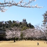 20140331-022
