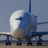DREAM LIFTER
