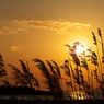冬の播磨灘に沈む夕日１７