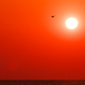 冬の播磨灘に沈む夕日１８