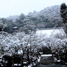 永観堂雪景（2月１日）