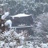 永観堂雪景（2月１日）