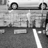 かさ
