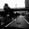 かさ