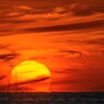 なんとか、だるま夕陽　3