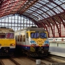 フランダースの旅　アントウェルペン中央駅３
