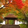安楽寺山門