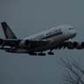 着陸 Singapore A380-841 見える?