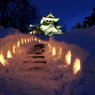 雪の横手城