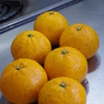 甘夏みかんジャム作ろう-1