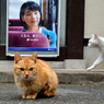 人生は、夢だらけ。