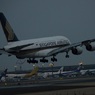 到着 Singapore A380-841