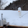 特徴を捉える大切さ。