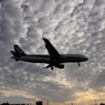秋空を運んで