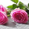 三本の薔薇-10